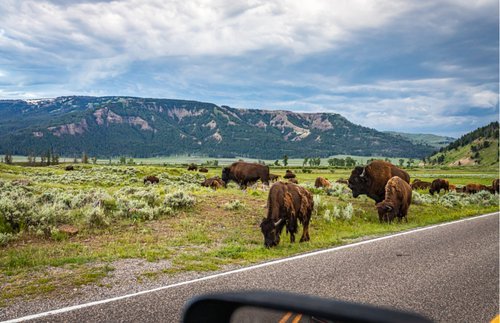 Why Summer National Park Vacations Need to Be Booked NOW