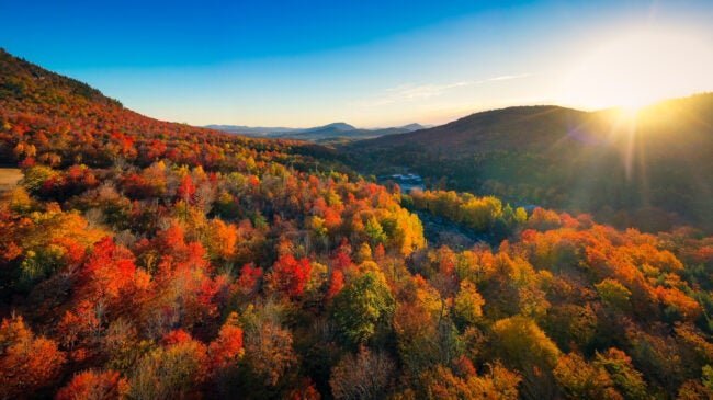 2022’s Fall Foliage Map: When Peak Fall Colors Will Reach You