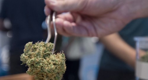 The Wrong Way to Legalize Marijuana?