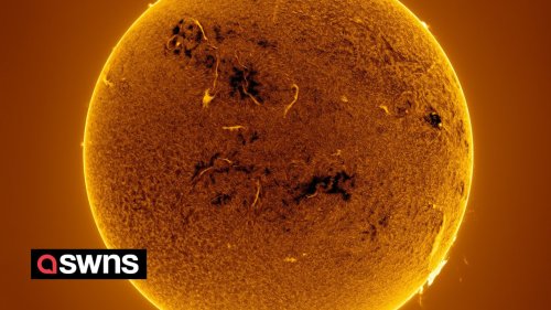 Astrophotographer captures jaw-dropping view of 200,000 km high wall of Sun plasma