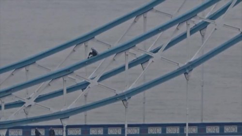 London: Tower Bridge Shut Down After Man Scales Railings | Flipboard