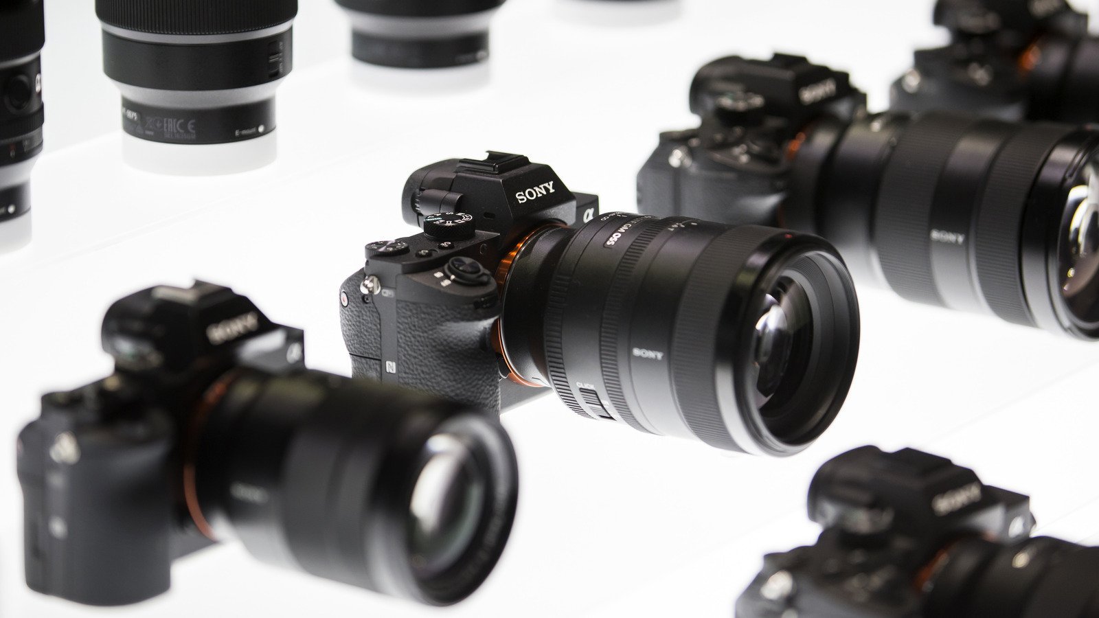 Major Camera Brands Ranked Worst To Best Flipboard