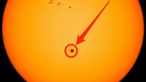 A Giant Sunspot With a Chance of Sending a Massive Solar Storm Our Way Can Be Seen With the Naked Eye Right Now