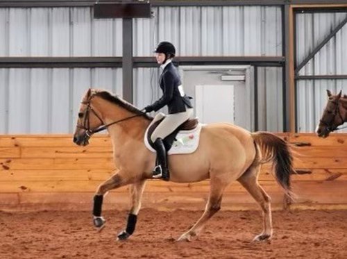 Equestrian: Learn to Ride for Relaxation - or Competition