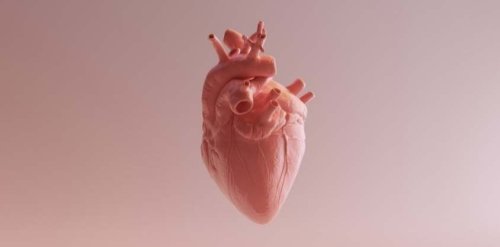 Is Your Heart Aging Well? This 60-Second Challenge Tells You Instantly