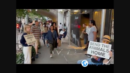 Animal rights activists protest in New York, USA