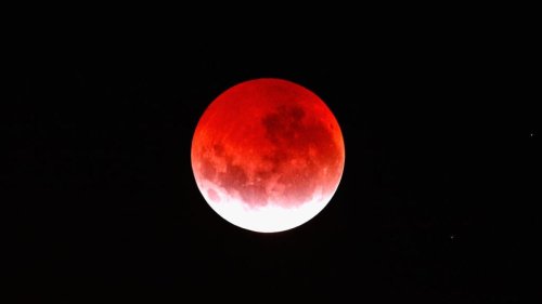 How to Watch Tonight's Total Lunar Eclipse, According to an Expert