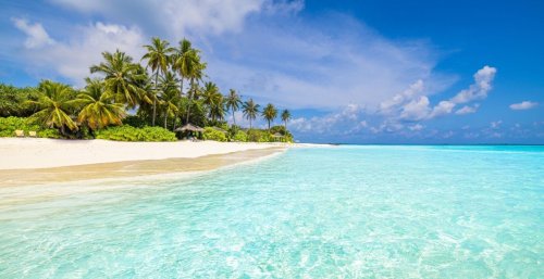 A rare and incurable virus is taking over this popular vacation destination