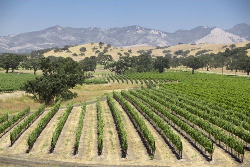 Gorgeous California Wine Country To Visit 