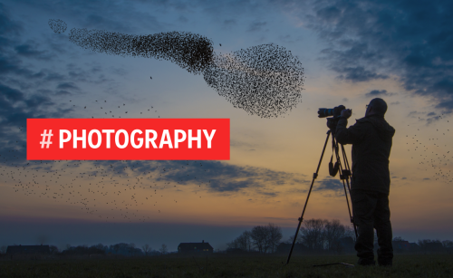 Love Photography? Learn From the Best on Flipboard - About Flipboard