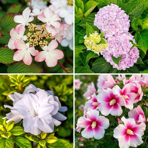 Spring Yard Makeover Ideas That We Love