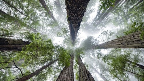Must-do attractions and hikes at your favorite national parks 
