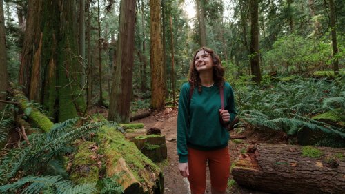 The New ID Rule US Citizens Need To Know For Visiting National Parks In 2026