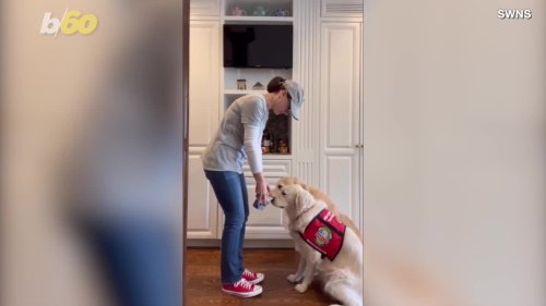 This Dog Protects Her Human Sister Who Suffers From a Peanut Allergy