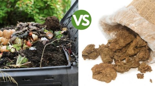 Compost vs Manure: What's Best For Your Soil Health?