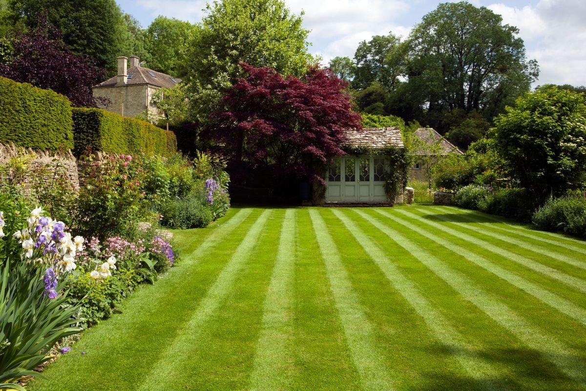 Everything you need to know about lawn care