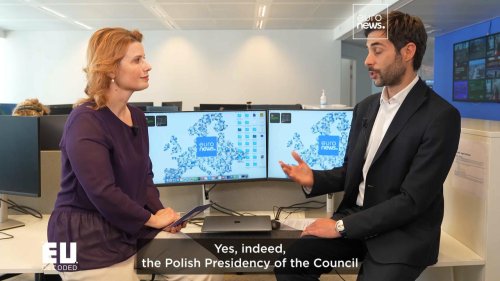 Digital border system targets crime and irregular migration