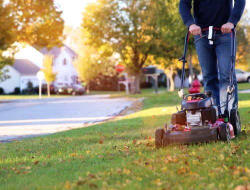 5 REASONS YOU SHOULD MOW YOUR LAWN LESS