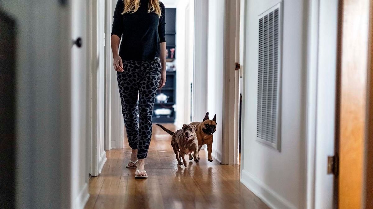 Why Fido Follows You Everywhere, and Why That's Awesome