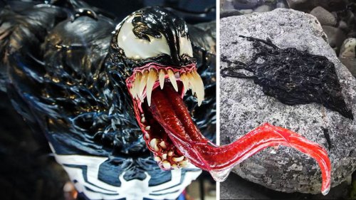 Did They Find the Real-Life Venom?