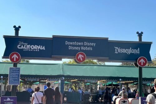 Disneyland vs California Adventure: Which One To Choose
