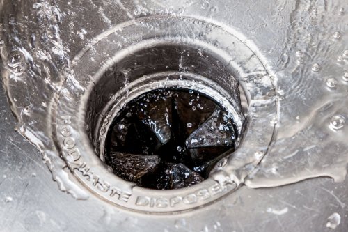 Foods to Never Put Down Your Garbage Disposal, According To Plumbing Experts