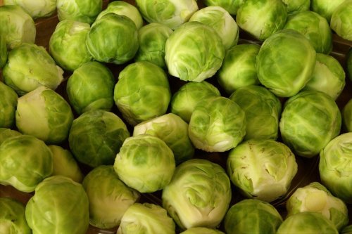 Shocking Revelation:What Nutritionists Actually Eat in a Day Will Blow Your Mind
