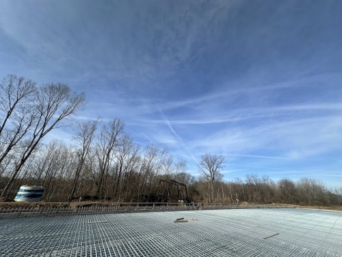 There's a bald eagle in this photo; can you find it?