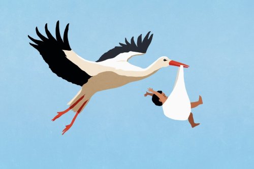 If you want to have a baby boy, this is when you need to have sex