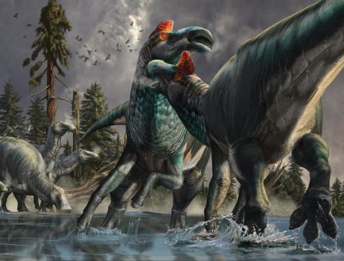 New science reveals more about dinosaurs than we ever knew before