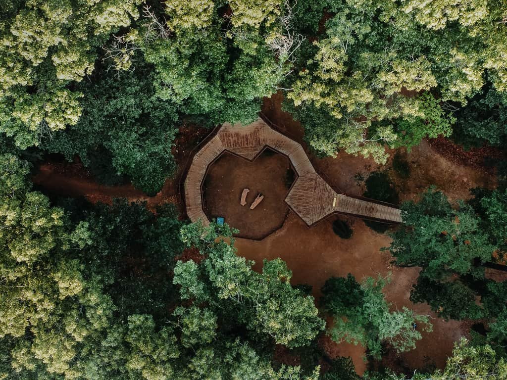 Discover Bentonville, Arkansas cover image