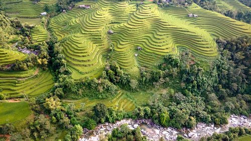 Banaue Rice Terraces: World wonder at risk of collapse as as locals turn to tourism jobs