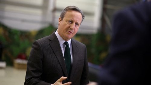 ‘Putin and his cronies are only people behaving like Nazis,’ Cameron says