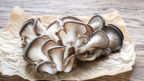 Benefits Of Growing Mushrooms At Home