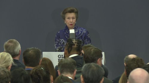 Princess Anne calls for global effort to tackle fraud