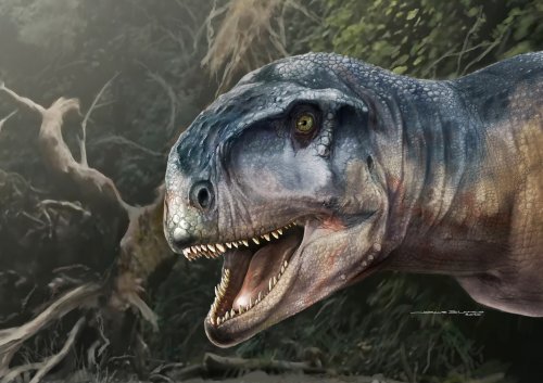Carnivorous dinosaur with short snout and strong bite menaced Patagonia
