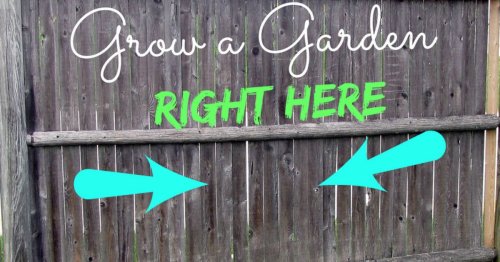 Simple DIY projects that will elevate your garden and give you more space