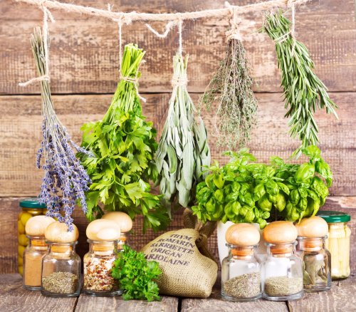 How to Dry Herbs From Your Garden Using These 4 Simple Methods