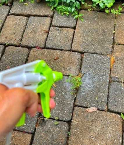 Get rid of those pesky weeds with this DIY epsom salt & vinegar killer