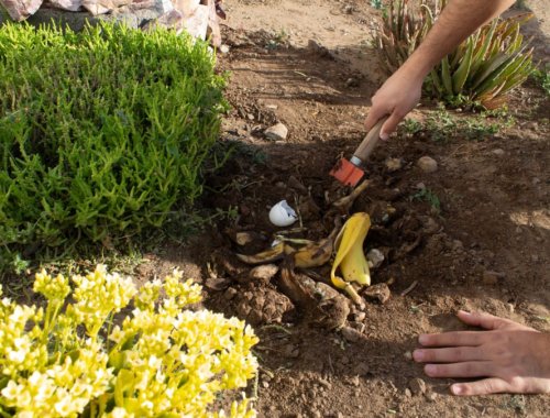 HOW MUCH COMPOST DO YOU ADD TO YOUR GARDEN?