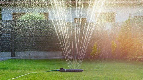 Lawn watering tips you'll wish you knew sooner