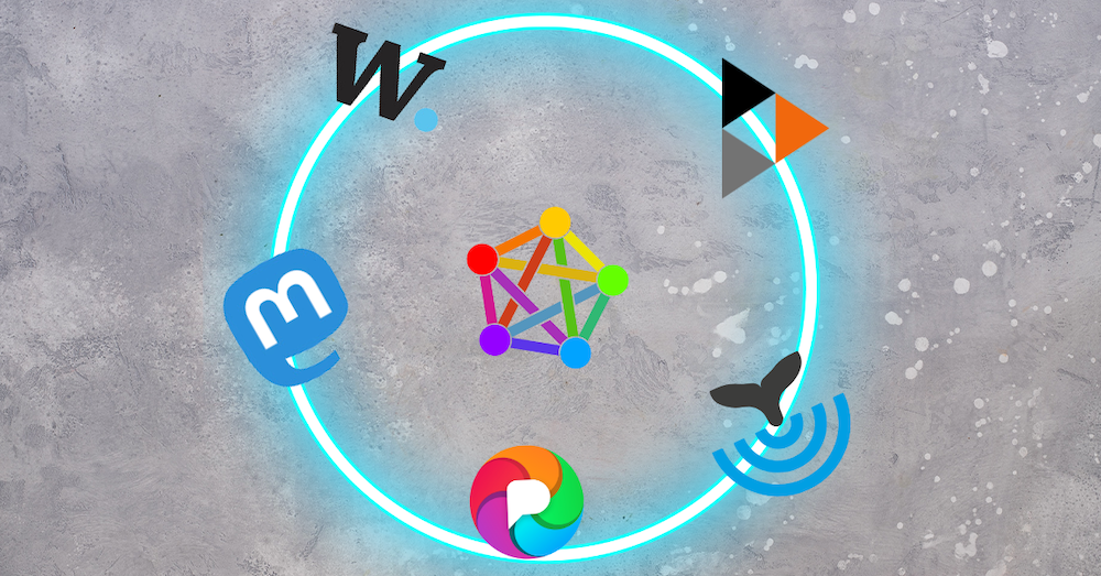 Creator Newsletter Digest #4