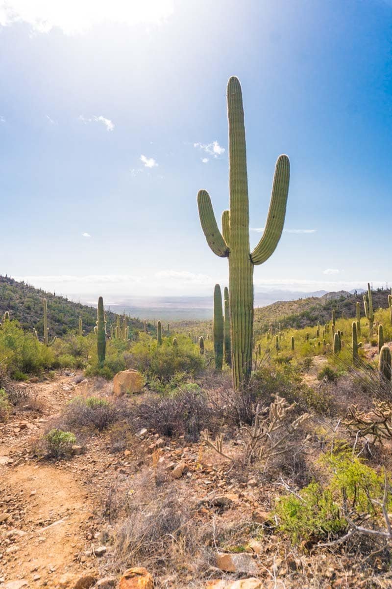 Arizona's Bucket List Destinations WILL Blow Your Mind. Start With These 