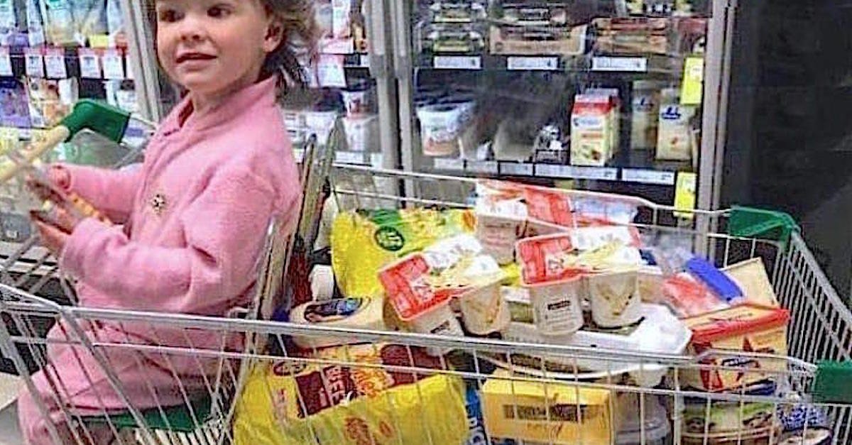 Mom shamed for grocery cart food stops strangers dead with viral response