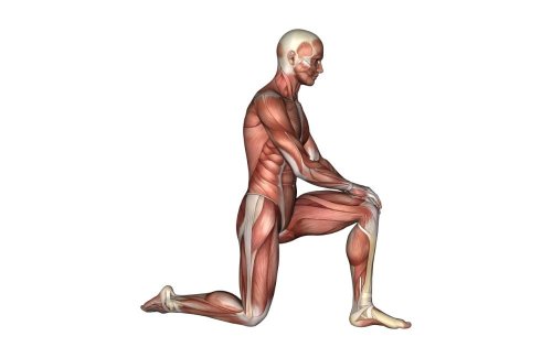 Repair Your Desk-Damaged Hips With These Two Effective Stretches