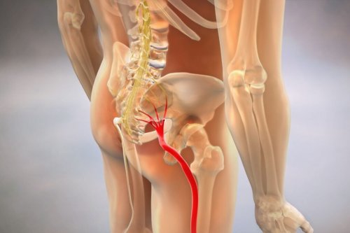 Suffering From Sciatica? Try This Doctor’s Approved Exercise for Pain Relief