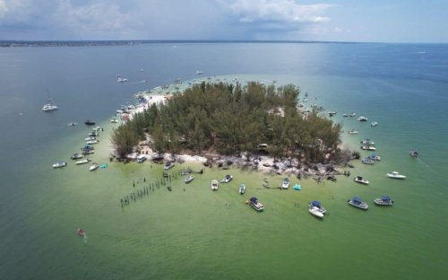 Friends bought deserted Florida island for $65K and turned it into $14M paradise