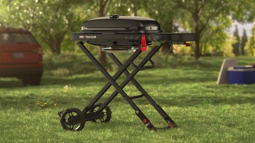 Grill Masters: BBQs and Pizza Makers for Outdoor Delights