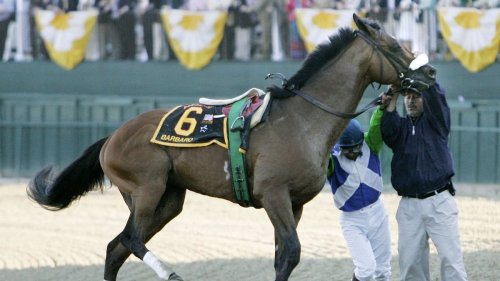 Do Horses With Broken Legs Have to Be Shot? — Plus More About Horses