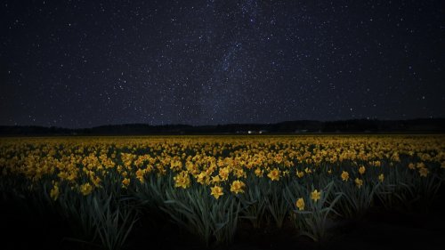 Space: May's best stargazing week is about to begin